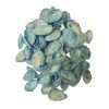 Turquoise Dyed Scallop Seashells Pack